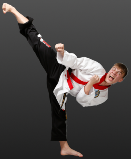 Taekwondo Teen Kicking