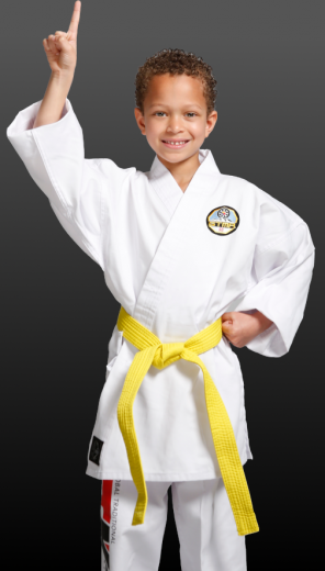 Number 1 Karate Kid